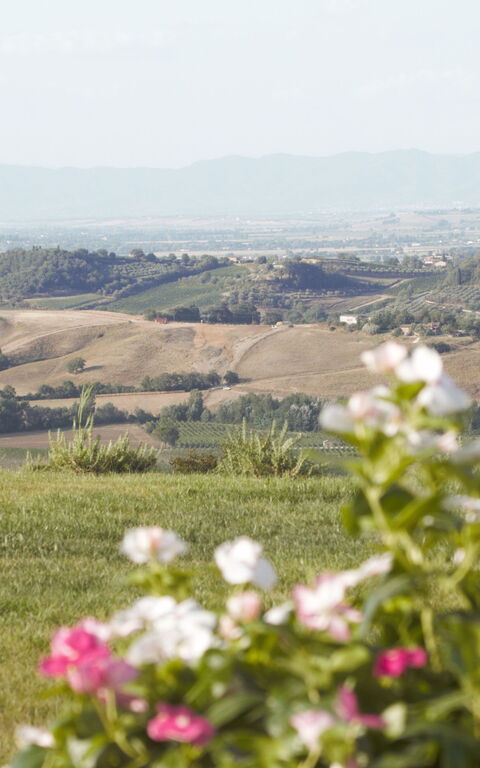 Villa Icario: all'aperto, Esterni, Giardino, Vista Panoramica