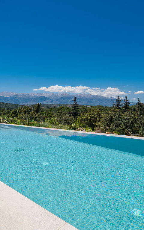 Villa Melia: all'aperto, Piscina