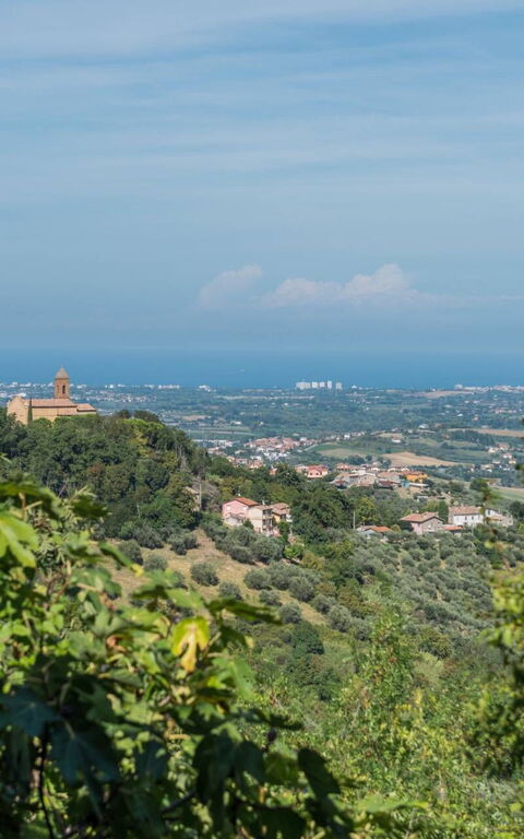 Villa Belvedere San Bartolo: Vista Panoramica