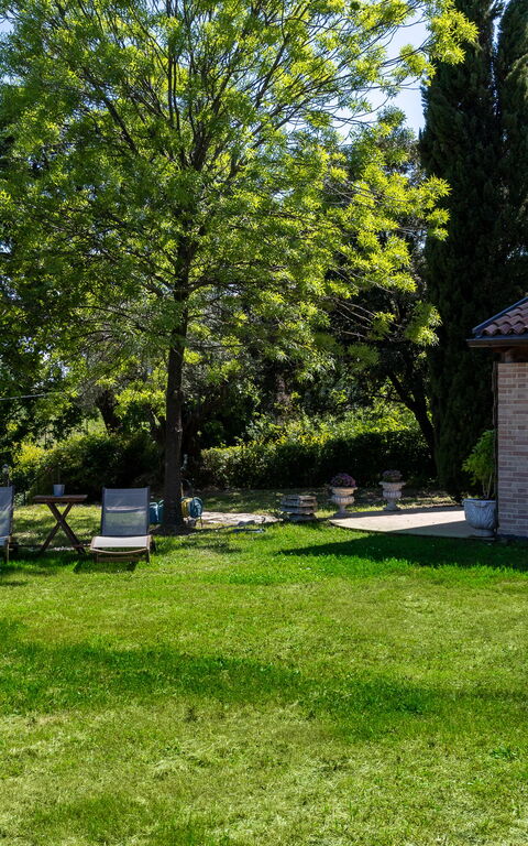 Villa Belvedere San Bartolo: all'aperto, Esterni, Giardino