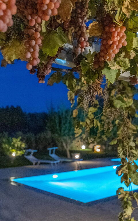 Villa Icaria: all'aperto, Esterni, Piscina