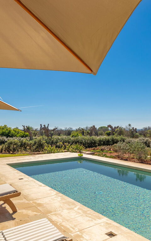 Villa del Cedro: all'aperto, Esterni, Piscina