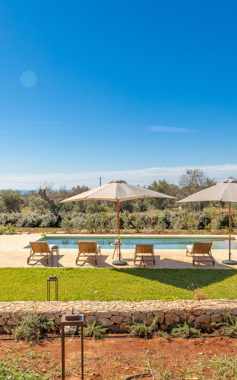 Villa del Cedro: all'aperto, Esterni
