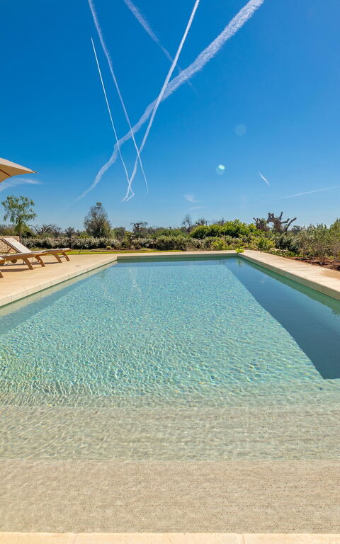 Villa del Cedro: all'aperto, Esterni, Piscina