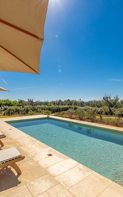 Villa del Cedro: all'aperto, Esterni, Piscina