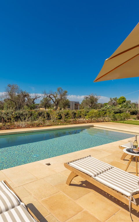 Villa del Cedro: all'aperto, Esterni, Piscina