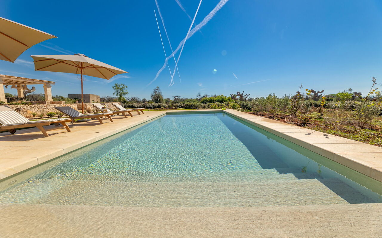 Villa del Cedro: all'aperto, Esterni, Piscina