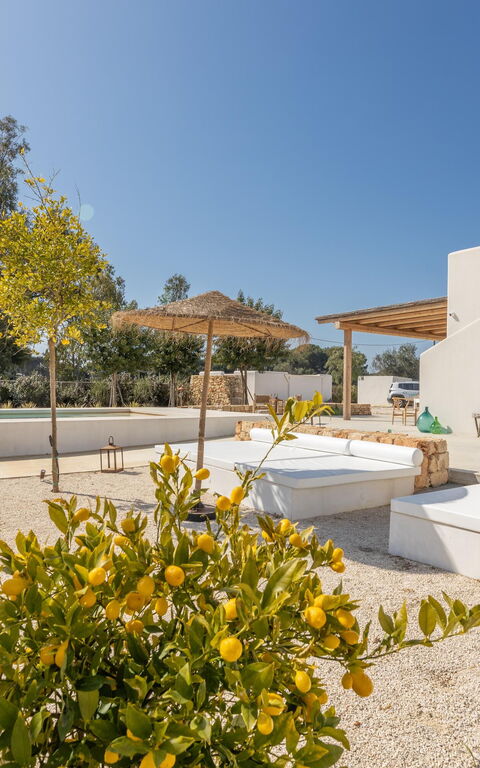Villa Panacea: all'aperto, Esterni