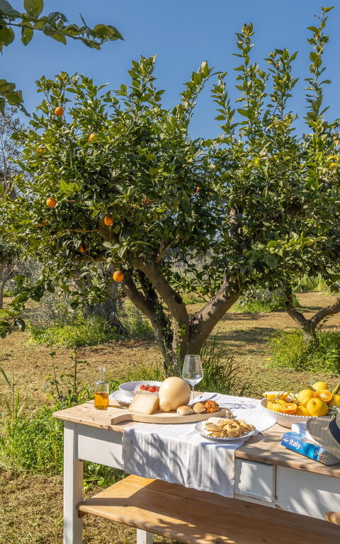 Villa Panacea: all'aperto, Esterni, Giardino
