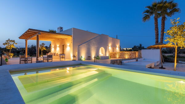 Villa Panacea: all'aperto, Esterni, Piscina