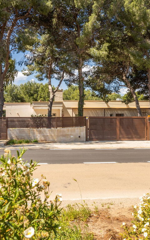 Essenza di Pace: Entrata Principale
