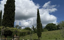 Foto caricata dall'ospite di Villa Lo Scoiattolo