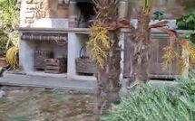 Foto caricata dall'ospite di Casale di Cozzile