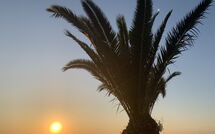 Foto caricata dall'ospite di Villa Cala Mancina