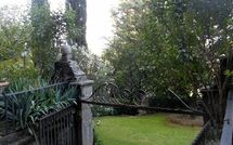 Foto caricata dall'ospite di Montegufoni