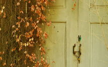 Foto caricata dall'ospite di Villa Elisa