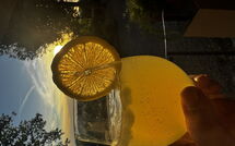 Foto caricata dall'ospite di San Carlo