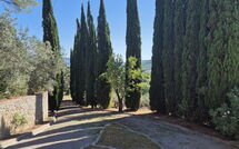 Foto caricata dall'ospite di Villa Uccellaia