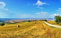 Foto caricata dall'ospite di Casale Santa Francesca
