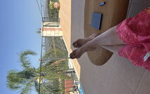 Foto caricata dall'ospite di Villa Kois