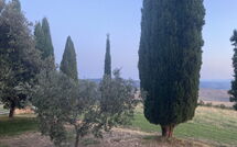 Foto caricata dall'ospite di Casale Santa Francesca