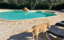 Foto caricata dall'ospite di Lamia Santo Arcangelo