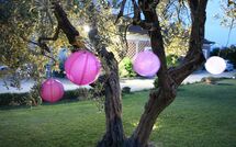 Foto caricata dall'ospite di Podere Romina - Stalla Apartment