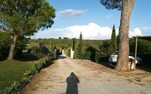 Foto caricata dall'ospite di Podere Romina - Belvedere Apartment