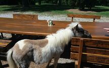 Foto caricata dall'ospite di Villa Mario