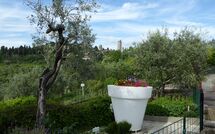 Foto caricata dall'ospite di Poggiluglio