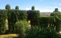 Foto caricata dall'ospite di Montegufoni