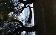 Foto caricata dall'ospite di Villa Romantic Sevi