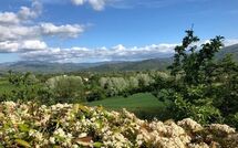 Foto caricata dall'ospite di Casale Giotto