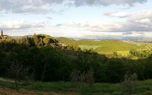 Foto caricata dall'ospite di Villa Uccellaia