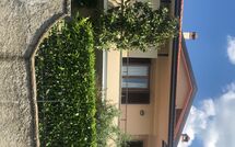 Foto caricata dall'ospite di Villa Pratovecchio