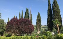 Foto caricata dall'ospite di Villa Sabrina