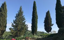 Foto caricata dall'ospite di Villa Sabrina