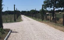 Foto caricata dall'ospite di Villa dei Vini