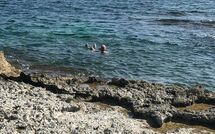 Foto caricata dall'ospite di Marisol