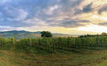 Foto caricata dall'ospite di San Carlo