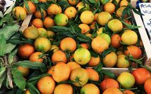 Foto caricata dall'ospite di San Carlo