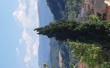 Foto caricata dall'ospite di Villa Pratovecchio