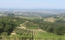 Foto caricata dall'ospite di Villa Il Caggio