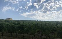 Foto caricata dall'ospite di Villa Il Caggio