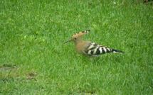 Foto caricata dall'ospite di Casa Lucia