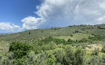 Foto caricata dall'ospite di Villa Nora