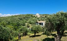 Foto caricata dall'ospite di Villa di Giovanni