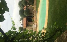 Foto caricata dall'ospite di Trullo Santo Stefano