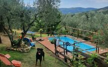 Foto caricata dall'ospite di La Ruota