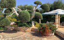 Foto caricata dall'ospite di Lamia Santo Arcangelo